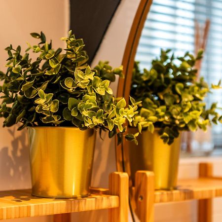 Stadsappartement Franeker 11 Zewnętrze zdjęcie