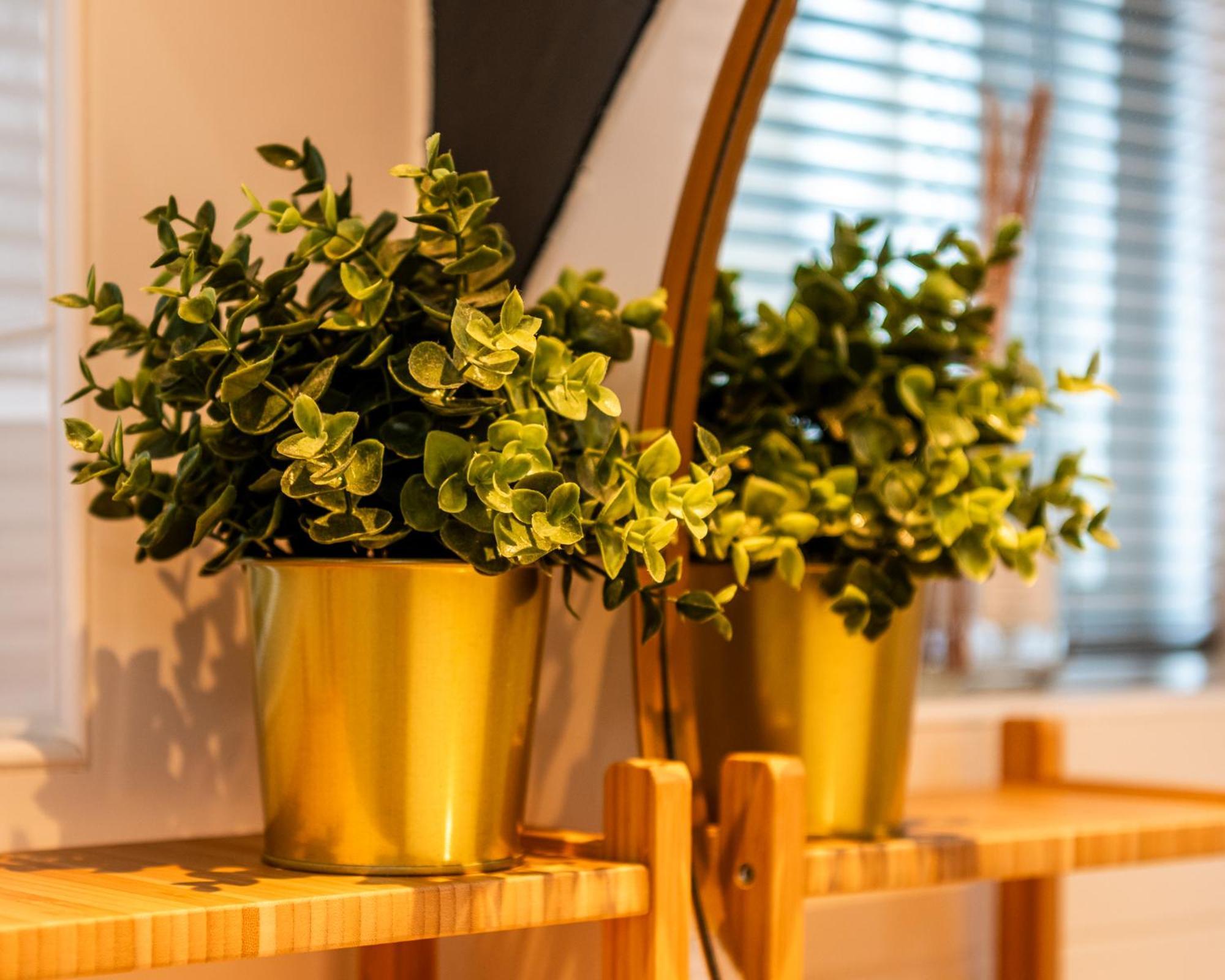 Stadsappartement Franeker 11 Zewnętrze zdjęcie